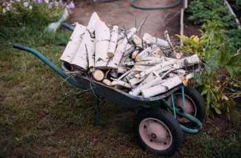 Tools For Firewood On Your Homestead